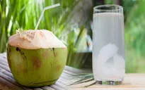 Nước dừa: Giải khát mùa Hè và công dụng tuyệt vời cho sức khỏe