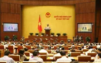 Tiếp thu, chỉnh lý dự án Luật Quản lý thuế (sửa đổi)