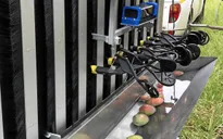 Australia thử nghiệm thành công robot hái xoài