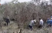Người dân ngang nhiên vào khu bảo tồn chặt phá cây rừng