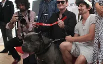 Diễn viên chó xuất sắc nhất tại LHP Cannes 2019