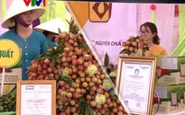 Ngày hội vải thiều Thanh Hà 2019