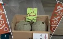 Cặp dưa giá kỷ lục 5 triệu Yen