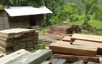 Quảng Bình: Làm rõ việc phát hiện số gỗ lậu tại UBND xã