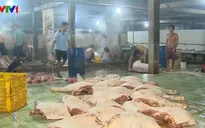 Bạc Liêu lập đoàn tổng kiểm tra các điểm giết mổ gia súc