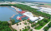 Một vòng khám phá trang trại “thông minh” của Vinamilk