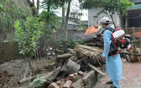 Hà Nội: Bệnh sởi giảm mạnh, sốt xuất huyết tăng nhanh