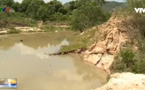 Khánh Hòa: Phản hồi tình trạng khai thác cát trái phép gây sạt lở đất sản xuất của người dân.