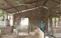 Kinh nghiệm chi trả hỗ trợ các hộ nuôi lợn bị dịch tả châu Phi tại Vĩnh Phúc