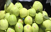 Xuất khẩu nông, lâm, thủy sản giảm 4,9% trong 4 tháng đầu năm