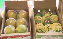 Xuất khẩu rau quả tăng mạnh