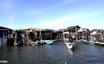 Những khu dân cư chìm trong nước biển