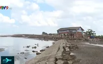 Kiểm tra tiến độ triển khai Nghị quyết ứng phó với biến đổi khí hậu tại Bến Tre