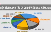 Giá ca cao tăng lên hơn 55 triệu đồng/tấn