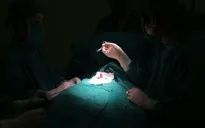 Tai nạn gãy dương vật và những khuyến cáo từ bác sĩ