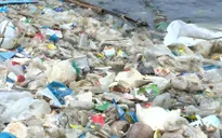 Thủ tướng gửi thư kêu gọi chung tay giải quyết rác thải nhựa