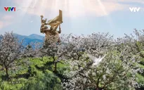 TRỰC TIẾP "Điện Biên - Điểm hẹn hòa bình" (20h10, VTV1)