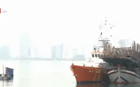 Đưa tàu và 52 ngư dân gặp nạn về đất liền an toàn