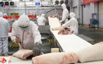 Thịt lợn Canada khó tiếp cận thị trường Trung Quốc