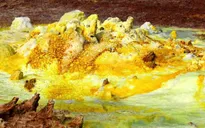 Vi khuẩn kỳ lạ ở núi lửa Ethiopia cho thấy sự sống có thể tồn tại trên sao Hỏa