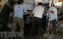 Nghệ An: Chuyển giao 3 cá thể gấu bị nuôi nhốt trái phép sau gần 2 tháng phát hiện vi phạm