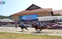 Hấp dẫn sự kiện mùa hè “Vó ngựa Cao nguyên trắng”