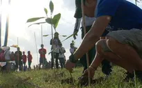 Muốn tốt nghiệp, mỗi học sinh Philippines phải trồng 10 cây xanh