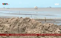 ĐBSCL: Sạt lở phá vỡ thiết kế các công trình đê biển