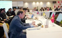 Việt Nam dự Hội nghị Quan chức cao cấp ASEAN 3, Cấp cao Đông Á