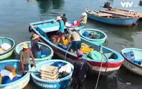 Bán dầu trái phép cho tàu cá trong khu dân cư