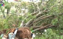 8 người thiệt mạng ở Ấn Độ do bão Fani