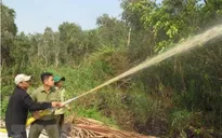 Rừng tràm U Minh Hạ ở mức báo động cháy cao nhất