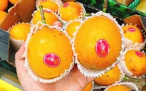 Đắt hàng chanh leo Ecuador