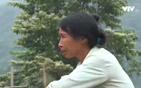 Hòa Bình: Người dân kêu cứu vì ô nhiễm trại lợn