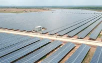 Đã mắt với cánh đồng pin mặt trời