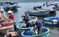 Làm rõ nguồn dầu bán trái phép tại cơ sở thôn Vũng Rô, tỉnh Phú Yên