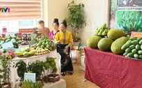 Liên kết phát triển bền vững trái cây các tỉnh phía Bắc