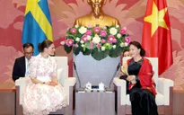 Tăng cường hợp tác Việt Nam - Thụy Điển