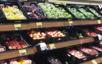 Cơ hội để hàng Việt Nam xuất khẩu vào thị trường Australia