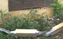Hòa Bình: Khắc phục hậu quả vụ rơi thanh bê tông làm 1 học sinh thiệt mạng