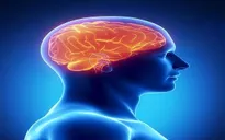 Thử nghiệm tác động vào não để cai nghiện ma túy