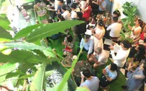 Trải nghiệm quán cà phê với không gian độc đáo ở TP.HCM