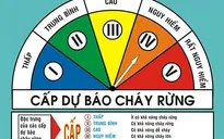 Nguy cơ cháy rừng cao ở Trung bộ do nắng nóng