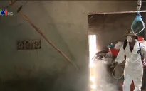 Tạm trữ, cấp đông, mở lối thoát cho ngành chăn nuôi lợn