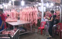 Sẽ cung ứng đủ nhu cầu thị lợn và hàng hóa trong dịp Tết cho TP.HCM