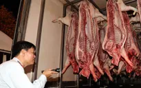 TP.HCM chính thức có dịch tả lợn châu Phi