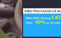 Giá ca cao kỳ hạn tăng