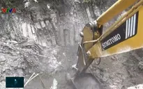 Khó khăn trong việc tiêu hủy lợn mắc bệnh ở ĐBSCL