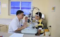 Rách giác mạc, đục thủy tinh thể do gai cành hoa đâm vào