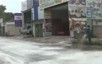 TP.HCM: Triển khai nhiều biện pháp kiểm soát dịch tả lợn châu Phi